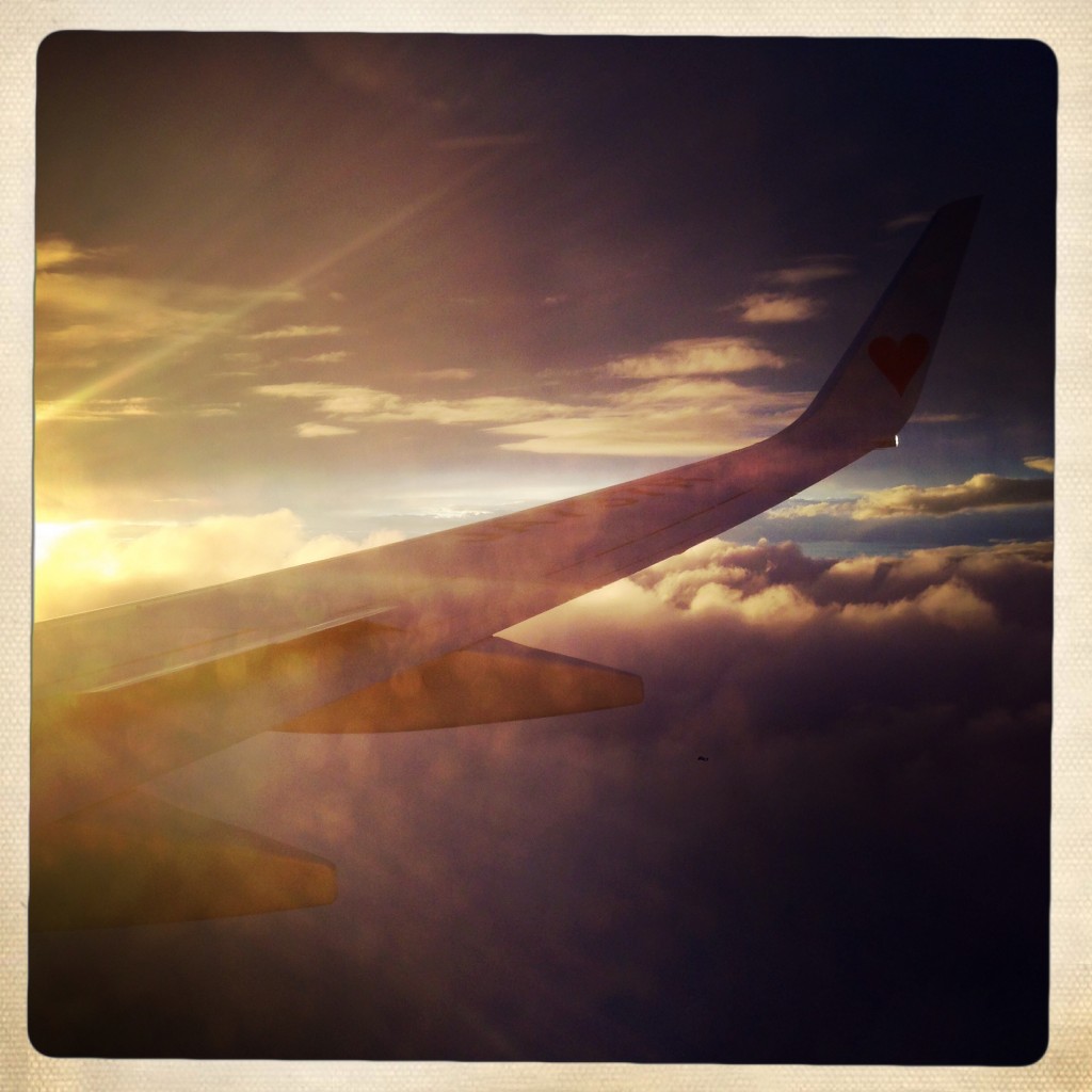 写真 (2)